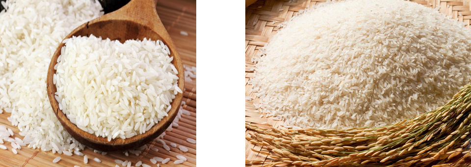 WinAll Exports - Products